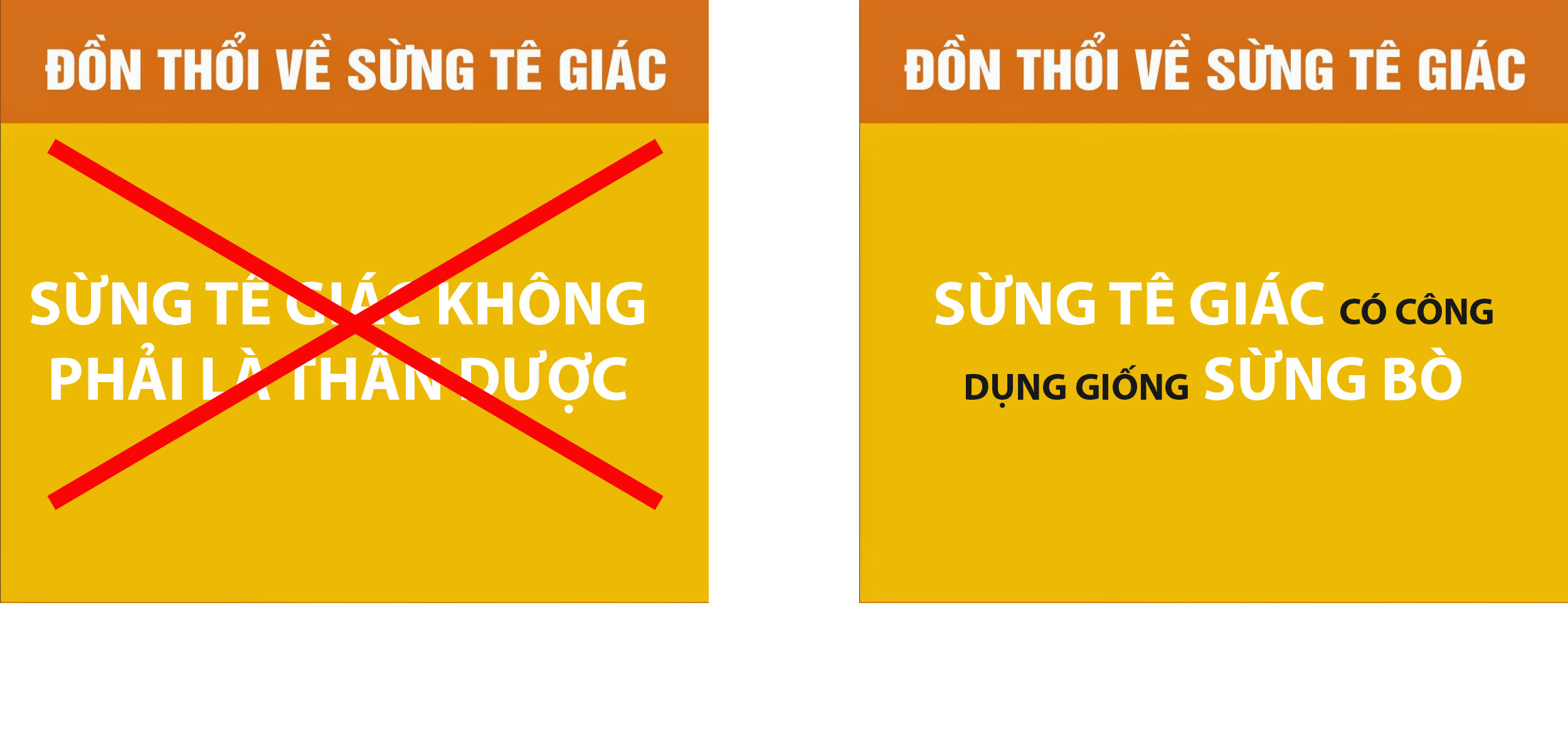 SỪNG TÊ GIÁC KHÔNG PHẢI LÀ THẦN DƯỢC