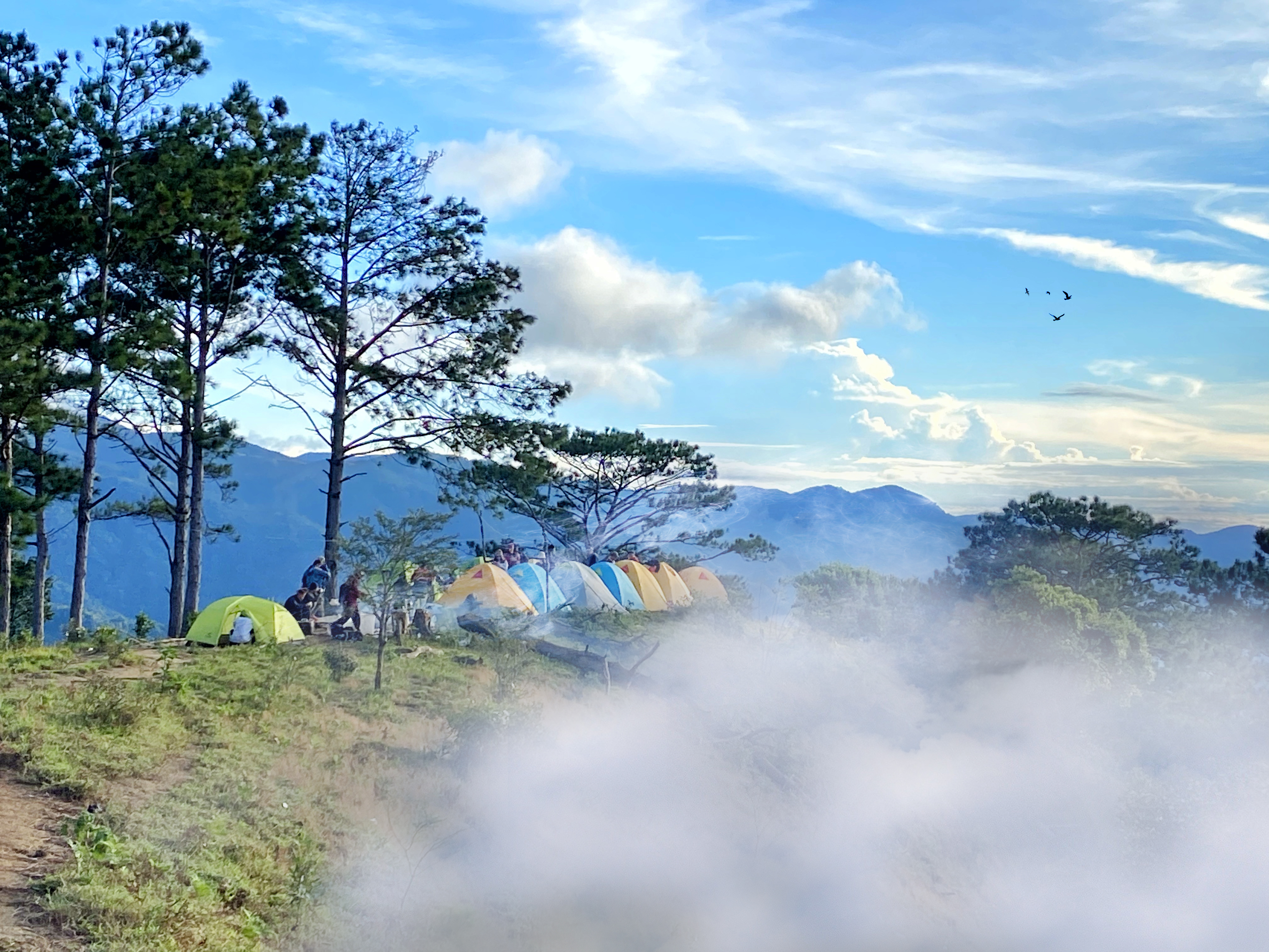 TaNang-PhanDung (205)-01