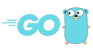 Golang in use