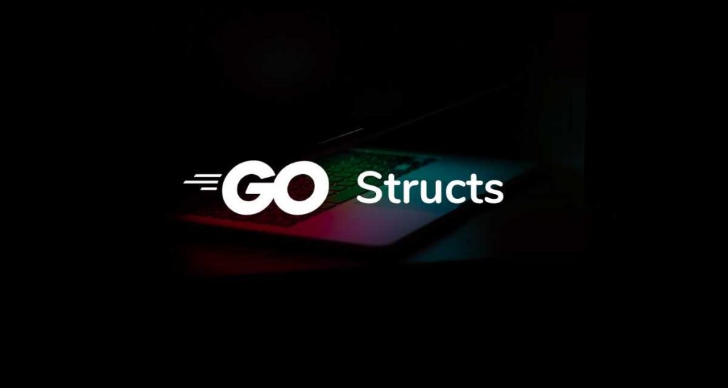 Go Struct