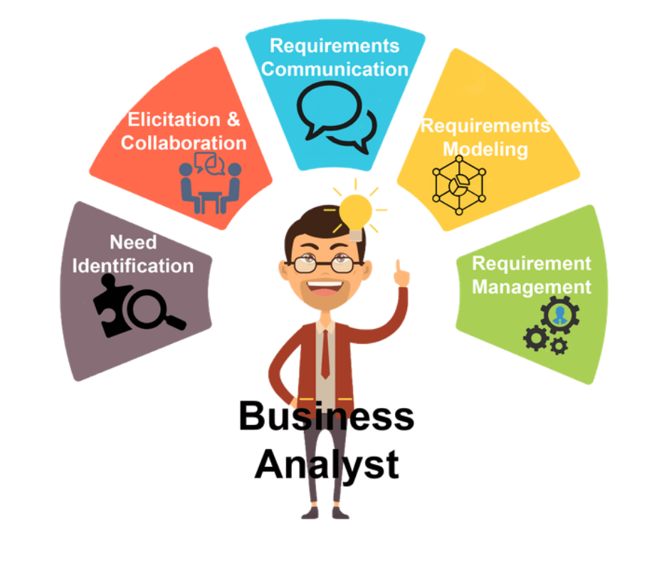 Business Analyst